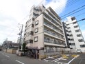 ドムス河堀口