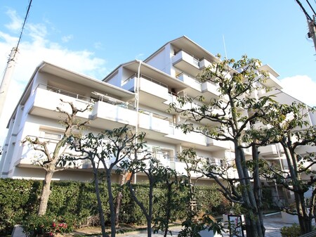 パレ住吉川(317)外観写真