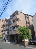 シェルマンド薩摩
