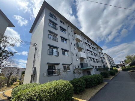 男山第二住宅115号棟（503）外観写真