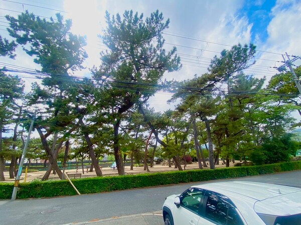 室内からの展望