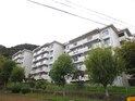 若山台住宅２７号棟５０５号