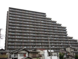ﾌｧﾐｰﾙﾊｲﾂ上野芝Ⅱ番館（1108）外観写真