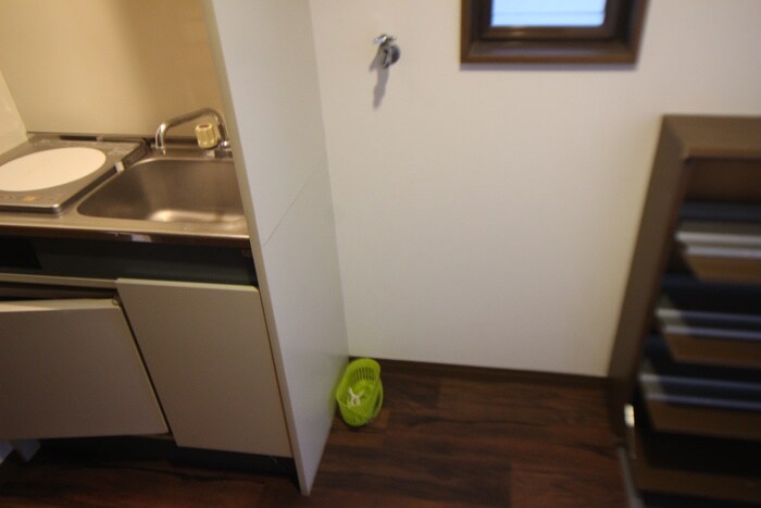 物件内観写真21　(洗濯機置場)