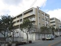 ﾌｧﾐｰﾙ雲雀丘花屋敷弐番館(313)