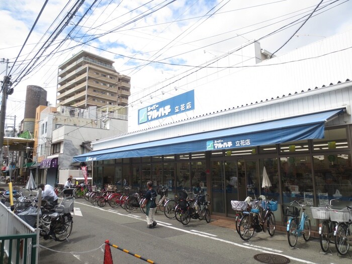 マルハチ立花店