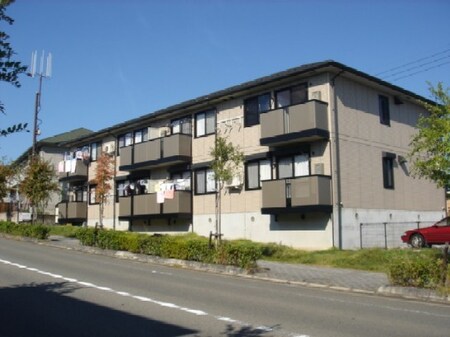 グリ－ンパ－クニレの木外観写真