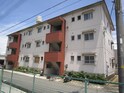 清水マンション