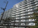 ﾊｲﾈｽｳﾞｪﾙﾃﾞ岸和田