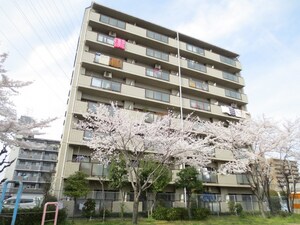 ソレア－ド長吉外観写真