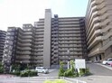 ﾗｲｵﾝｽﾞﾏﾝｼｮﾝ千代田弐番館(602)