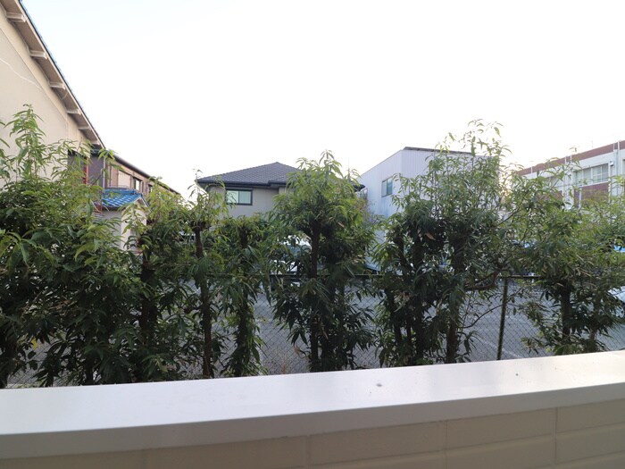 物件内観写真19　(室内からの展望)