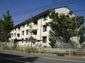 ブエナビスタ
