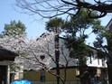 ラピュタⅡ