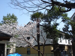 ラピュタⅡ外観写真