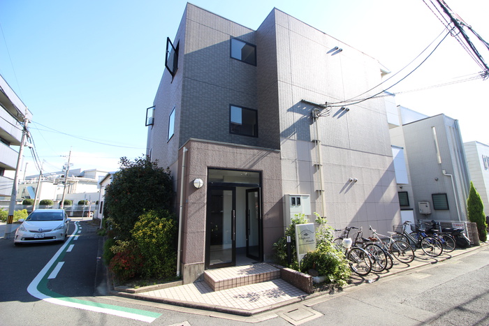 シャペロンヒナタ