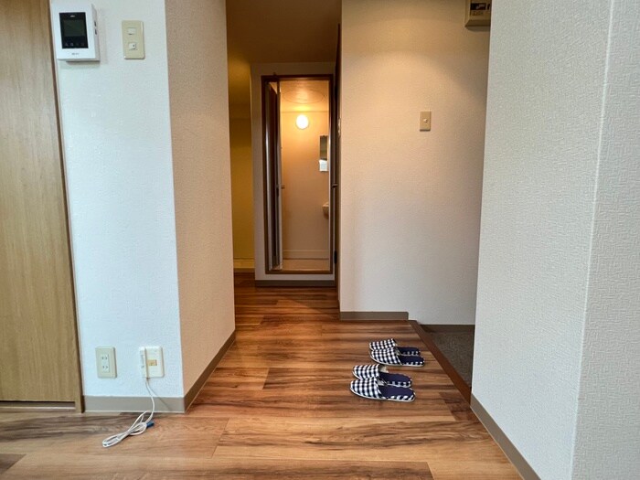 物件内観写真19　(廊下)