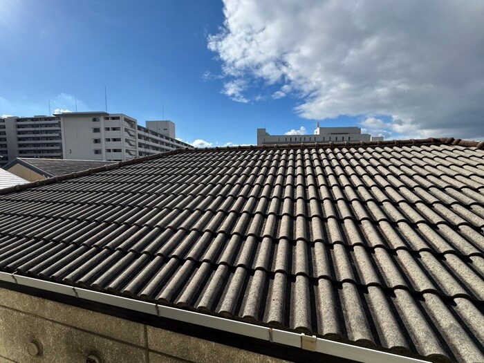 物件内観写真20　(周辺環境)