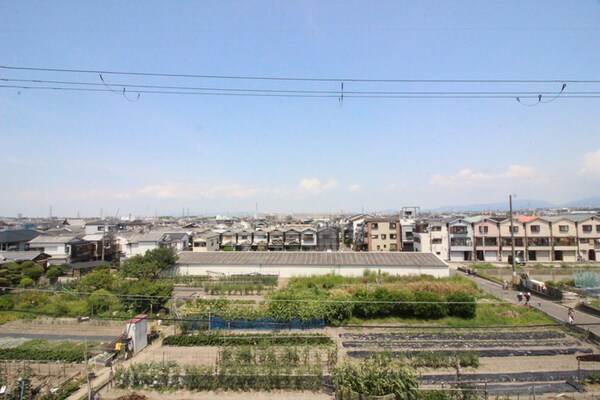 室内からの展望