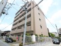 モデラート江上