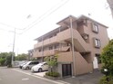 カンナビ高山