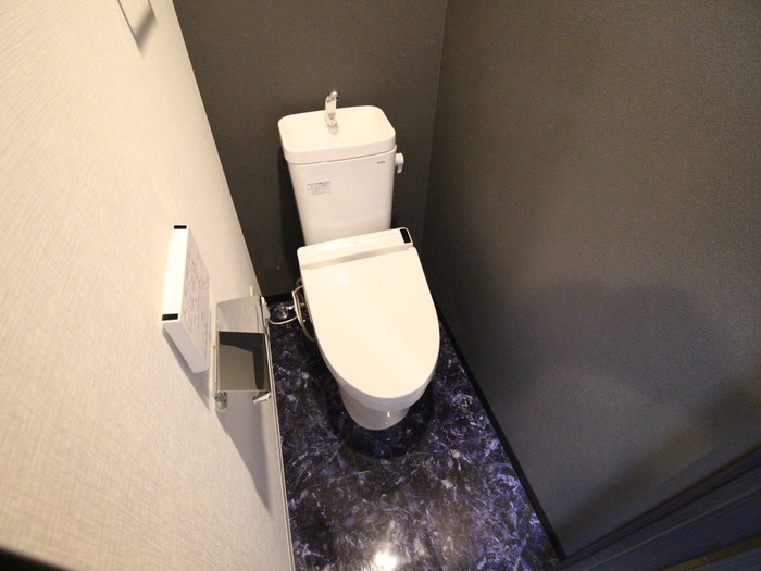 物件内観写真10　(トイレ)