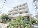 マグノリアコート