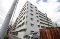 エレガンスクワタ