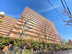 ﾗｲｵﾝｽﾞﾏﾝｼｮﾝ若江東弐番館(904)外観写真