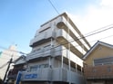 アムール曙