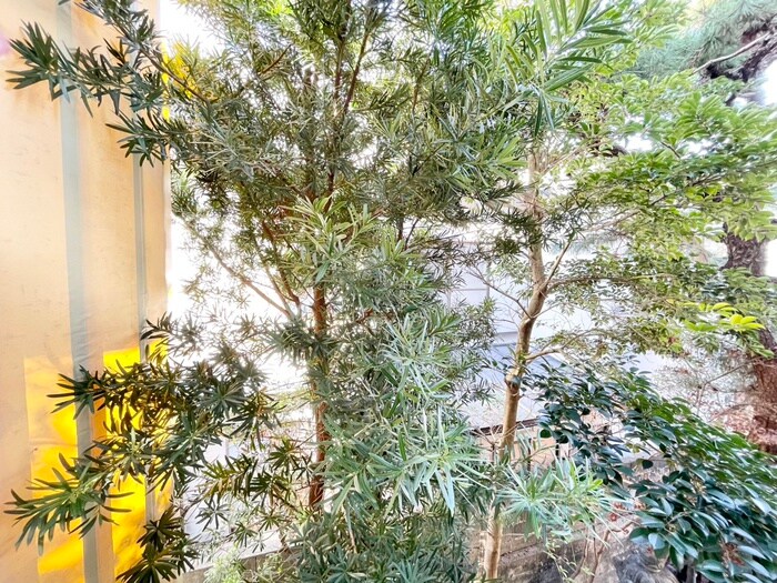 物件内観写真16　(室内からの展望)