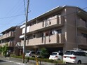 ﾌｪﾙﾃｨ中西Ⅱ