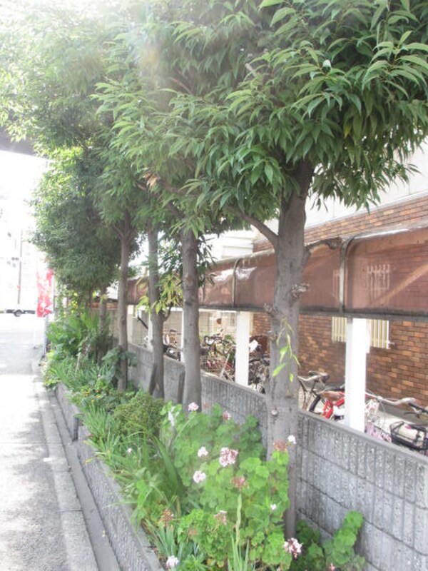 外観写真