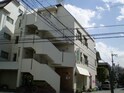 パールスター