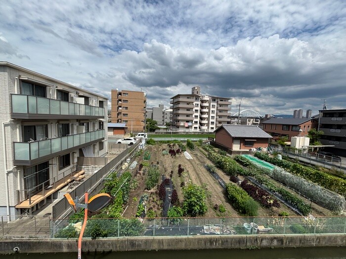 物件内観写真19　(室内からの展望)