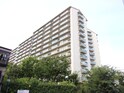 ｺｽﾓｼﾃｨ森林公園弐番館(809)