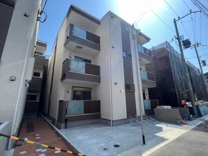 仮)F asecia　arvensis外観写真