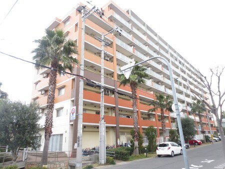 ｼｬﾙﾏﾝﾌｼﾞ中百舌鳥ﾊﾟｰﾑｽｲｰﾄ(601)外観写真