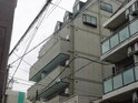 ビアパレス