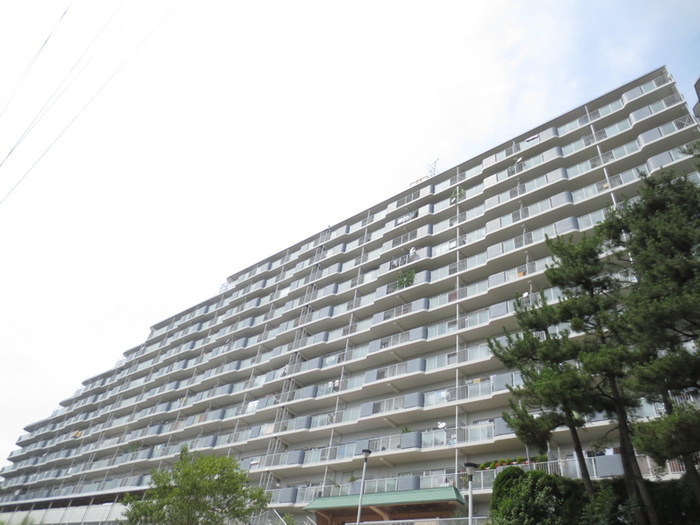 泉北星和台コーポラス(1209)