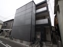 リブリ・コージィチドリ