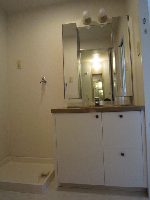 物件内観写真4　(洗面)