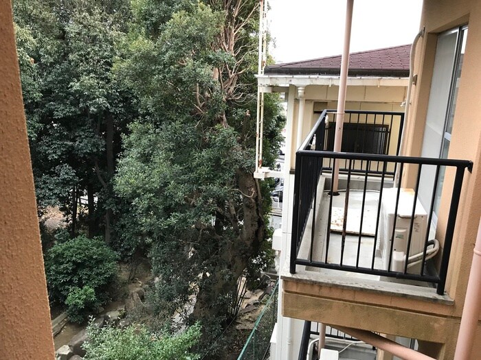 物件内観写真17　(室内からの展望)