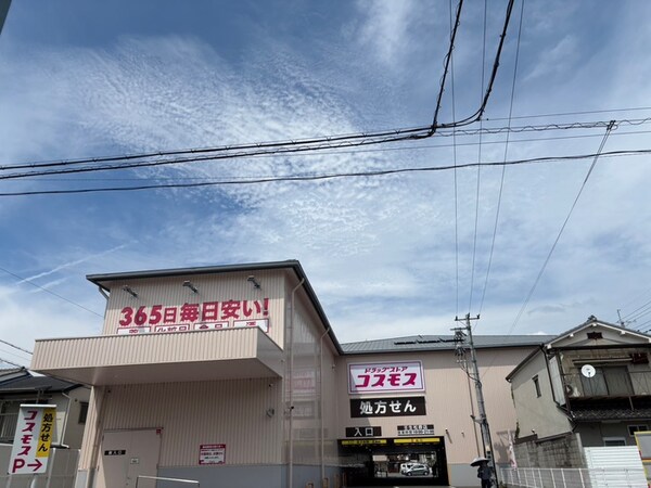 周辺環境