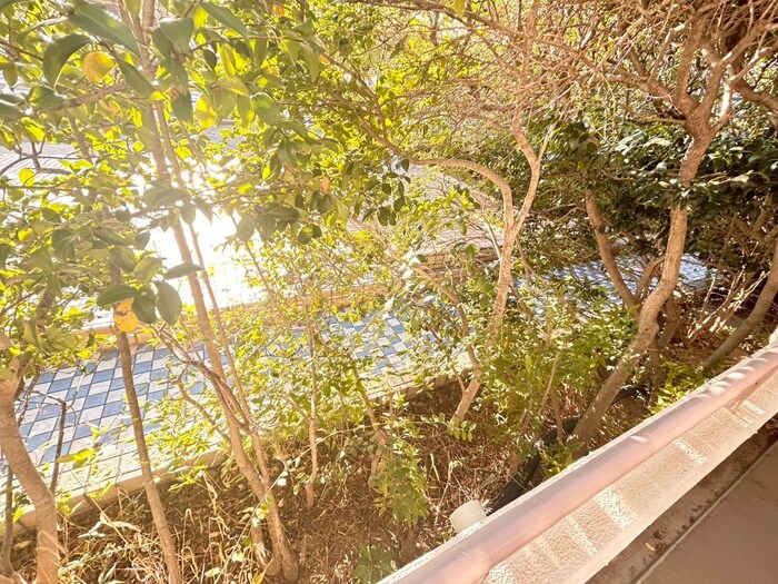 物件内観写真16　(室内からの展望)