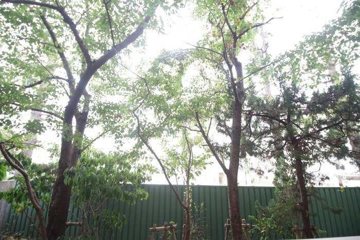 物件内観写真17　(室内からの展望)