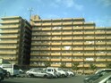 ﾗｲｵﾝｽﾞﾏﾝｼｮﾝ和泉上町(305)