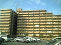 ﾗｲｵﾝｽﾞﾏﾝｼｮﾝ和泉上町(305)
