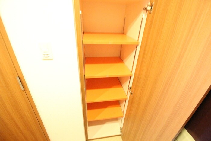 物件内観写真19　(靴箱)
