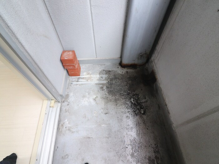 物件内観写真12　(洗濯機置場)